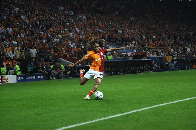 湖人可能在 湖人可能在