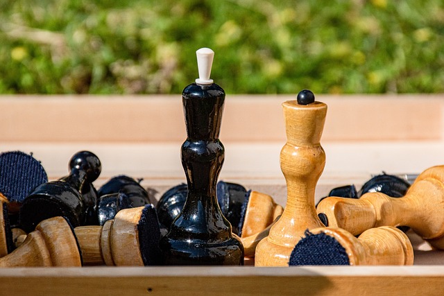 阿仙奴的两 阿仙奴的两